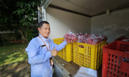 Kementan Gandeng Champion Cabai dan Bawang Merah, Hadirkan Harga Terjangkau Jelang Lebaran