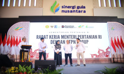 Targetkan Swasembada Gula Lebih Cepat, Mentan Amran Benahi Tata Kelola Tebu Nasional