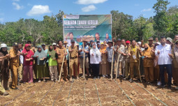 "Sosialisasi dan Gertam Kedelai Mendukung Produksi Kedelai Nasional di Kabupaten Bulukumba"