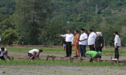 Mentan Pastikan Permudah Urusan Petani  Dalam Berproduksi