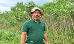 Para Petani Singkong Menyambut Baik Rencana Kehadiran Mentan Amran ke Provinsi Lampung