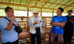 Kementan Dukung Pengembangan Bisnis Ternak KUB di Palangkaraya