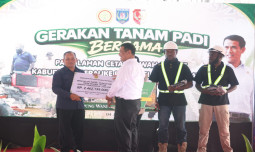 Mentan Amran Gelontorkan Bantuan Rp1,3 Triliun untuk Papua Selatan, Perkuat Lumbung Pangan Indonesia Timur