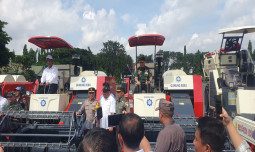 Kementan Tebar Bantuan, Pertahankan Konsistensi Pertanian di Jawa Timur