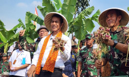 Panen Bawang Merah Rp 6 Miliar! Mentan dan KASAD Buktikan Keperkasaan Urban Farming di Bekasi