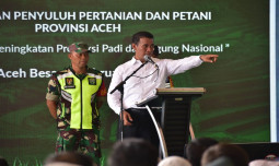 Pengecer Pupuk Nakal, Dicabut Izin dan Dipidanakan