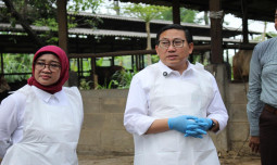 Kasus PMK di berbagai Wilayah Melandai, Pemerintah Terus Genjot Vaksinasi PMK