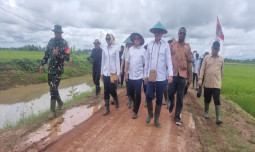 Warga Merauke Mulai Tanam di Sawah Baru, Optimisme Kesejahteraan Meningkat