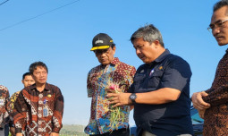 Panen Bawang Merah Agro Electrifying Parangtritis Hasilkan 20 ton/hektar