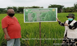 Berkat PPDPI, Lahan Petani di Aceh Barat Makin Produktif