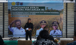 Kementan Ke Pemprov NTB: Perkuat Pangan Nasional Antisipasi Cuaca Buruk El Nino