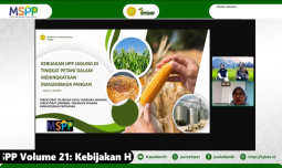 Tingkatkan Swasembada Pangan, Pemerintah Tetapkan HPP Jagung