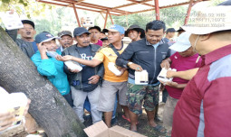 Cegah Penyebaran PMK, BBIB Singosari Distribusikan Obat dan Vitamin di Pasar Hewan Wajak