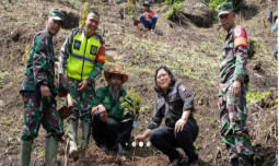 Dorong Peningkatan Pendapatan Masyarakat, Kementan Berikan 18 ribu batang benih buah-buahan kepada Lembaga Masyarakat Desa Hutan (LMDH) Sukabumi