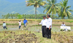 Mentan Pastikan Pemerintah Kawal Stok Pangan Nasional