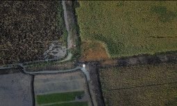 Gerak Cepat Mentan Amran Antisipasi Dampak Elnino dan Menekan Impor