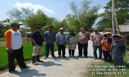 Kementan Optimis Gernas Elnino Di Jawa Timur Berhasil