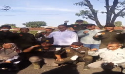 Tak Kenal Libur, Kementan Percepat Tanam dan Gerdal Wereng di Kulonprogo