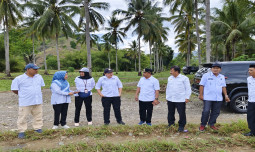 Tingakatkan Areal Pertanaman Padi, Boalemo Siap Adopsi Tusip Padi-Kelapa