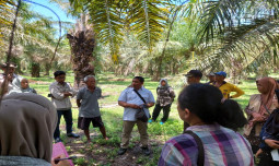 Kementan Sigap Antisipasi El Nino Demi Jaga Keberlanjutan Produksi Tanaman Perkebunan