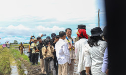 Mentan Amran Tegaskan Bulog Wajib Serap Gabah Petani Any Quality, yang Tidak Mau Kerja untuk Rakyat Minggir!