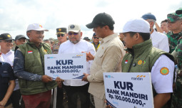 Mentan Amran Pastikan Perbankan Turun Tangan Bantu Brigade Wujudkan Swasembada Pangan