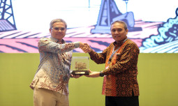 Wamentan Harap Alih Fungsi LP2B Tak Ganggu Produksi Pangan Nasional