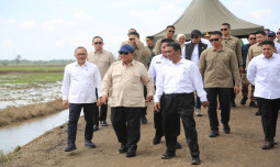 Presiden Prabowo dan Mentan Amran Pimpin Tanam Padi  Serentak di 14 Provinsi