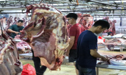 Pemerintah Pastikan Harga Sapi Hidup Stabil, Pelaku Usaha: Kami Ikuti Aturan Pemerintah