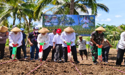 PAT Gorontalo Utara Capai 953 Hektar, Wujud Nyata Sinergi  Kementan, Pemda Gorontalo Utara dan TNI Cegah Darurat Pangan