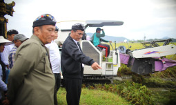 Mentan Amran Targetkan Luwu Timur Tanam Padi 4 Kali Setahun