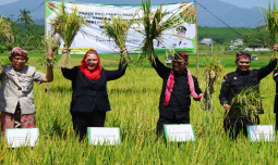 September 2023, NTP dan NTUP Terus Naik Signifikan