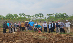 Kunjungi Indonesia, Delegasi Negara Fiji Tertarik Belajar Pengembangan Singkong