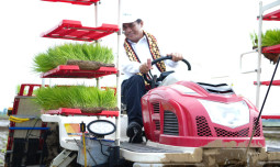 Mentan Terjun Langsung Pada Gerakan Percepatan Tanam Di Lampung