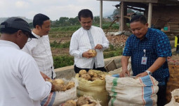 Kementan Genjot Hilirisasi Pertanian Skala Rumah Tangga
