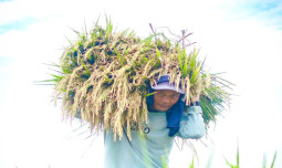 BPS Catat NTP Februari 2026 Tembus 125,45, Mentan Amran: Cetak Rekor Baru