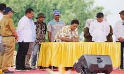 Kementan Sebut Panen Raya Jagung di Tuban Capaian Luar Biasa