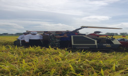 Beri Apresiasi, Mentan Sebut Varietas Padi Unggul IPB 9G Mampu Dukung Ketahanan Pangan