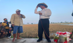 Menteri Amran Subuh Sudah Tiba di Lokasi Terdampak Banjir Kabupaten Kendal