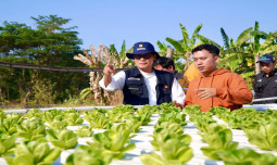 Kunjungi Petani Milenial Pasuruan, Kementan Sampaikan 3 Elemen Utama Syarat Keberhasilan Petani Muda