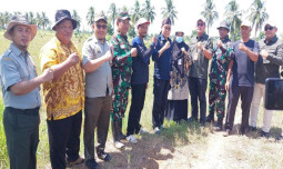 Libatkan Penyuluh Pertania, Kementan Kawal Gerakan Pompanisasi dan Percepatan Tanam di Barito Kuala