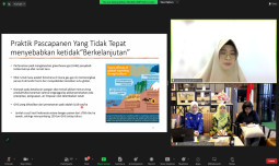 Gerak Cepat, Kementan Dongkrak Produksi Padi Nasional