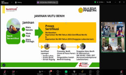Dukung Swasembada, Lewat MSPP Kementan Gencarkan Uji Mutu Benih