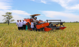 Jepang Terpuruk oleh Harga Beras, Indonesia Maju dengan Strategi Pangan Unggulan