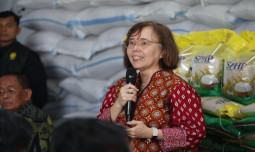 IRRI Puji Swasembada Pangan Indonesia, Sebut Fondasi Pertanian Modern Mulai Terbangun