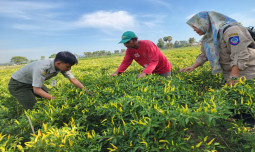 BPS Sebut NTP Juli Naik Tinggi, Meningkat Signifikan Sejak 2021