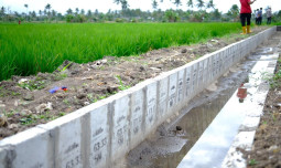 Ketersediaan Air Jadi Kunci Produksi, Kementan Pacu Banyuwangi Capai IP 300