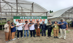 Geluti Agribisnis Sayuran, Antarkan Petani Muda Humbahas ini Jutawan Baru