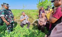 Kementan Terus Gencarkan Program PAT dan Pompanisasi di Purworejo