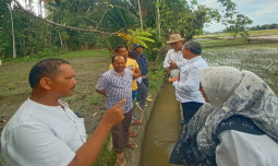 Perkuat Swasembada Pangan, Kementan Jalin Sinergi dengan Pemkab Pidie